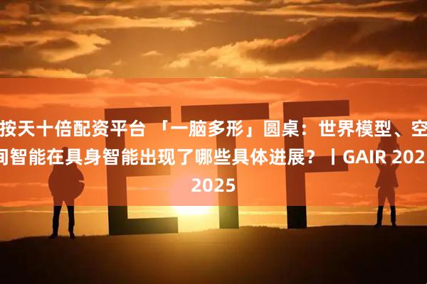 按天十倍配资平台 「一脑多形」圆桌：世界模型、空间智能在具身智能出现了哪些具体进展？丨GAIR 2025
